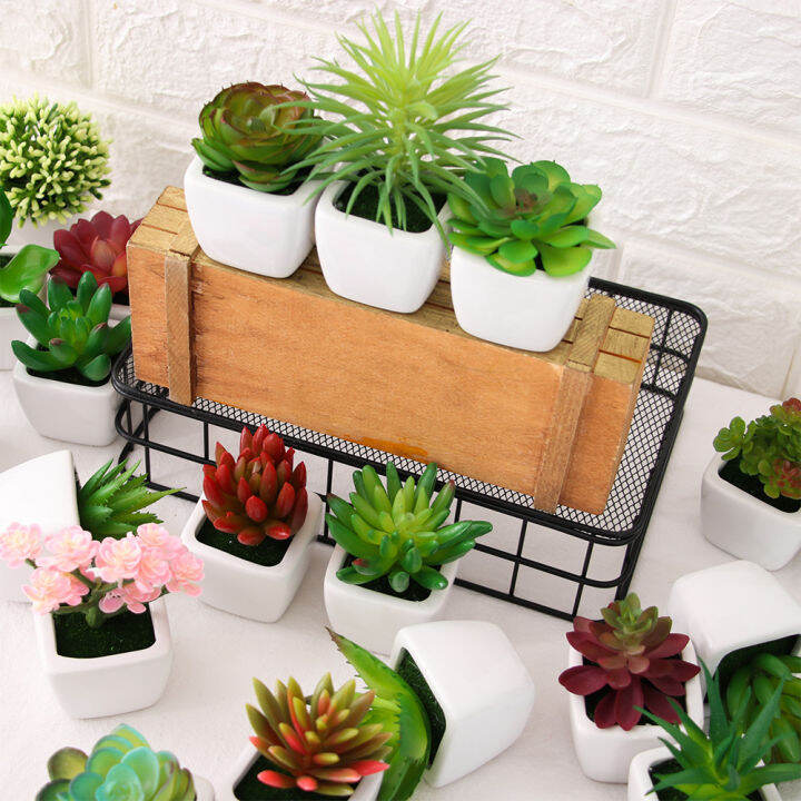 Gợi Ý Cây Văn Phòng Dĩ An Cho Không Gian Nhỏ