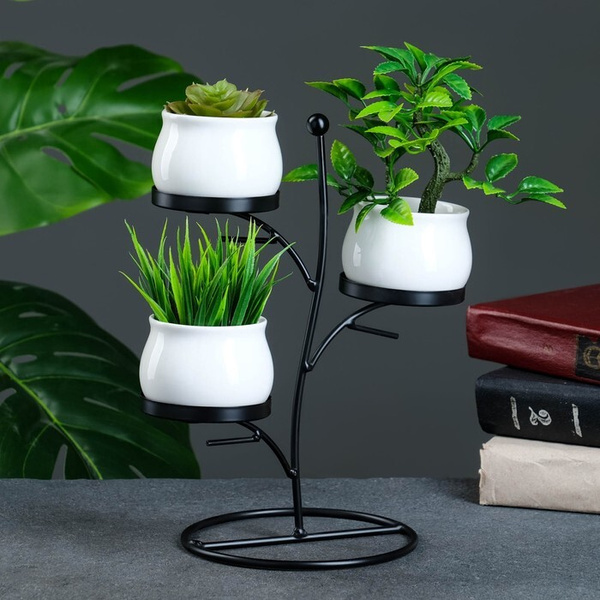 Lợi Ích Khi Sử Dụng Cây Văn Phòng Dĩ An Trong Công Ty