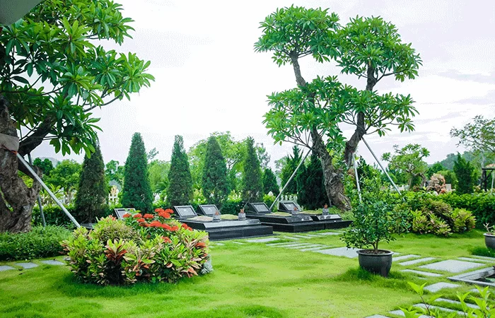 Lợi Ích Khi Thi Công Cây Cảnh Khu Vực Bình Dương