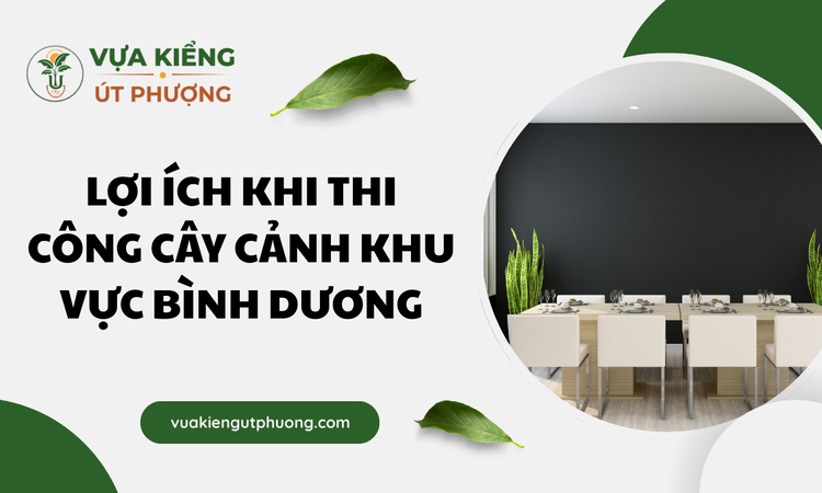 loi-ich-khi-thi-cong-cay-canh-khu-vuc-binh-duong