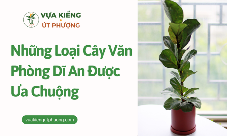 Ý Nghĩa Của Cây Xanh Trong Không Gian Văn Phòng Hiện Đại