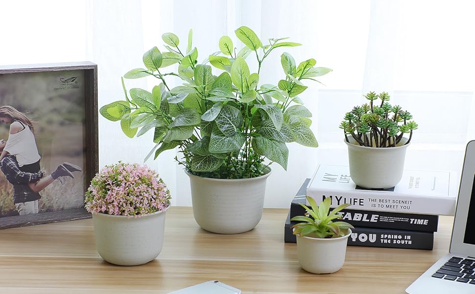 Những Mẫu Cây Văn Phòng Dĩ An Được Ưa Chuộng Nhất