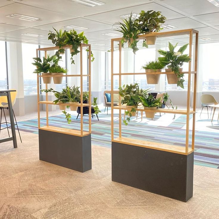 Những Mẫu Cây Văn Phòng Dĩ An Được Ưa Chuộng Nhất