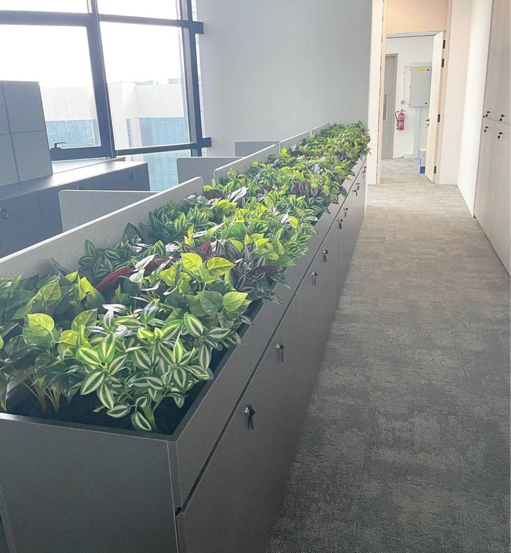 Những Mẫu Cây Văn Phòng Dĩ An Được Ưa Chuộng Nhất