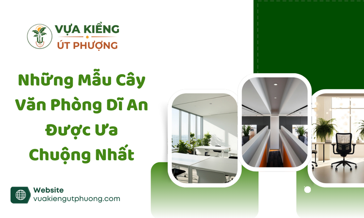 Tầm quan trọng của cây xanh trong không gian văn phòng