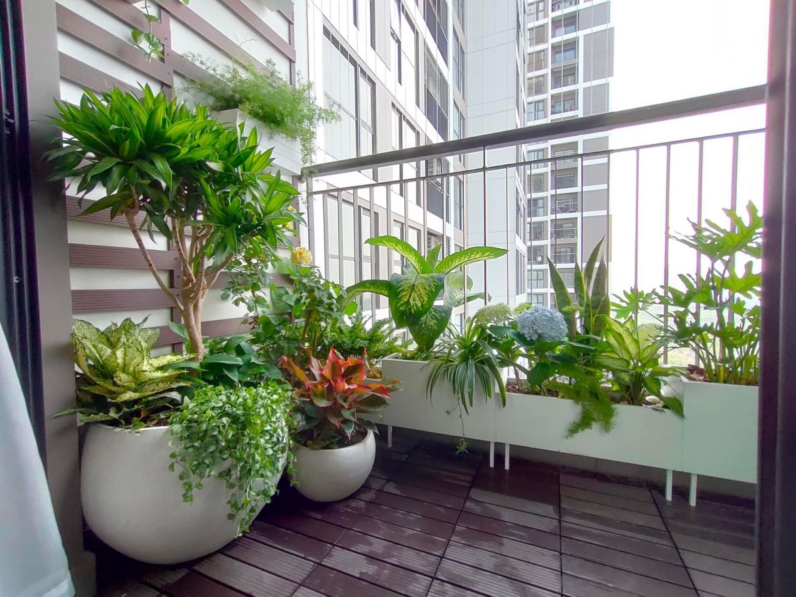 Quy Trình Thi Công Cây Cảnh Khu Vực Bình Dương