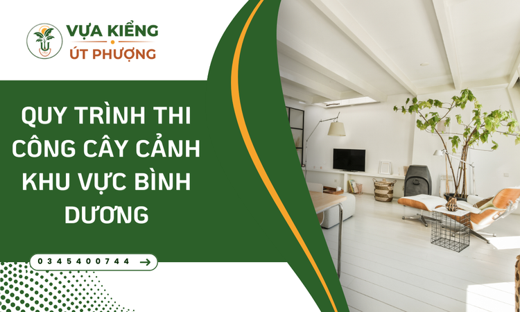 quy-trinh-thi-cong-cay-canh-khu-vuc-binh-duong