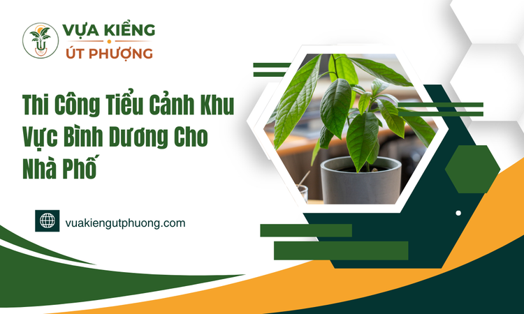 thi-cong-tieu-canh-khu-vuc-binh-duong-cho-nha-pho