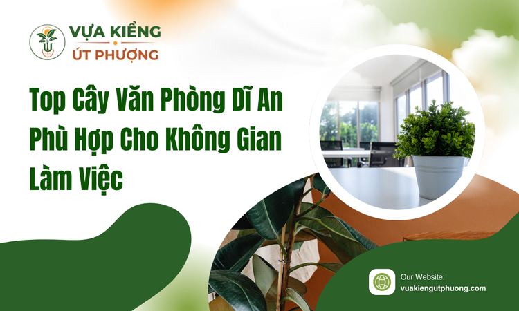 top-cay-van-phong-di-an-phu-hop-cho-khong-gian-lam-viec