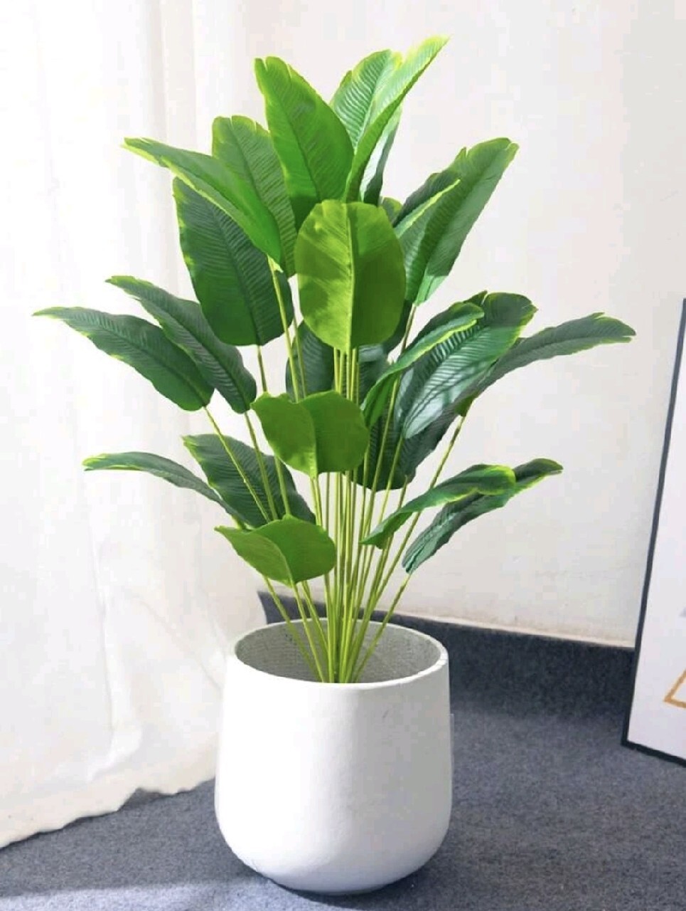 Xu Hướng Cây Văn Phòng Dĩ An Và Các Khu Vực Lân Cận