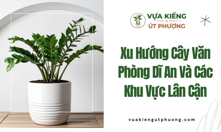 xu-huong-cay-van-phong-di-an-va-cac-khu-vuc-lan-can
