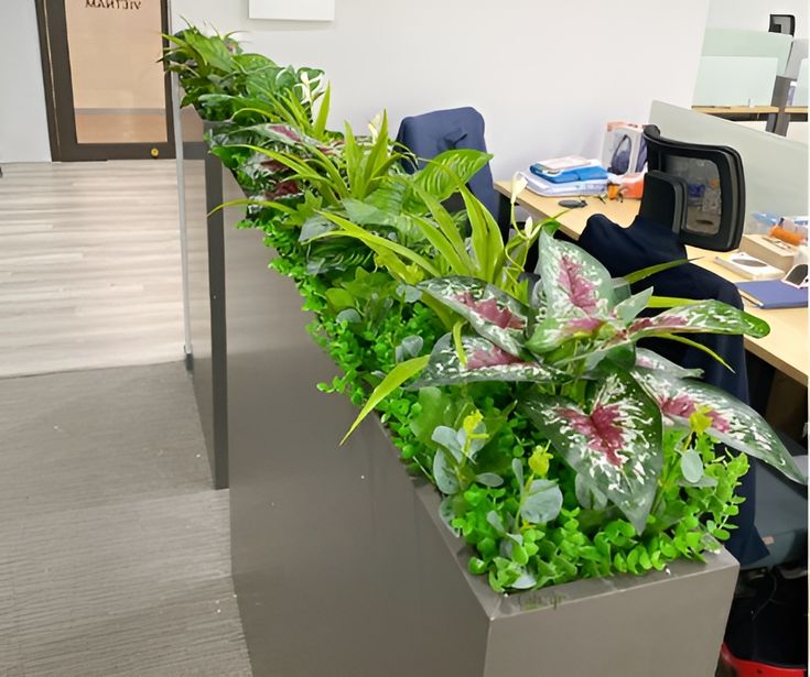 Xu Hướng Thi Công Tiểu Cảnh Khu Vực Bình Dương