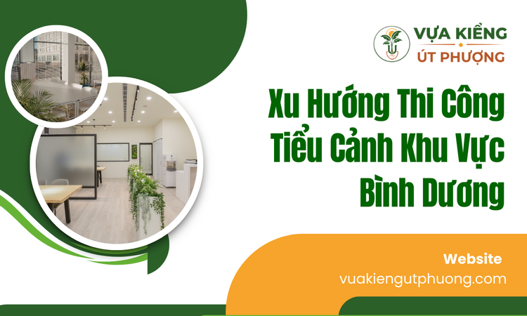 xu-huong-thi-cong-tieu-canh-khu-vuc-binh-duong