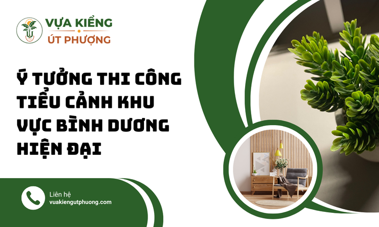 Ý Tưởng Thi Công Tiểu Cảnh Khu Vực Bình Dương Hiện Đại