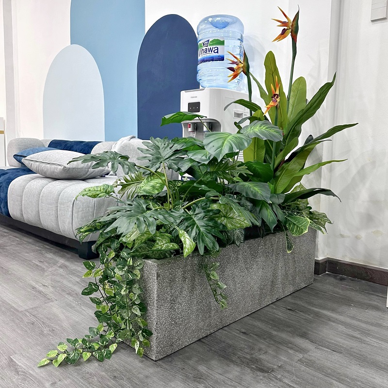 Ý Tưởng Trang Trí Nhà Bằng Cây Kiểng Trang Trí